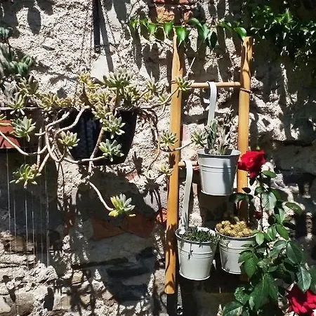 Art House Διαμέρισμα